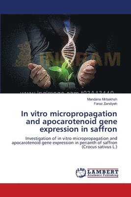 In vitro micropropagation and apocarotenoid gene expression in saffron 1