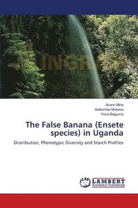 bokomslag The False Banana (Ensete species) in Uganda