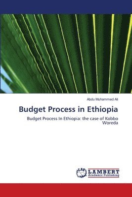 bokomslag Budget Process in Ethiopia