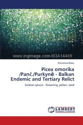 Picea omorika /Pan&#269;./Purkyn&#277; - Balkan Endemic and Tertiary Relict 1