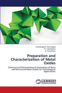 bokomslag Preparation and Characterization of Metal Oxides