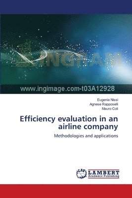 Efficiency evaluation in an airline company 1