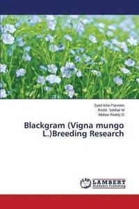 bokomslag Blackgram (Vigna Mungo L.)Breeding Research