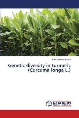 bokomslag Genetic diversity in turmeric (Curcuma longa L.)