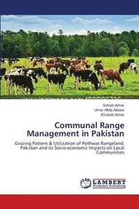 bokomslag Communal Range Management in Pakistan