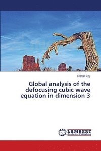 bokomslag Global analysis of the defocusing cubic wave equation in dimension 3