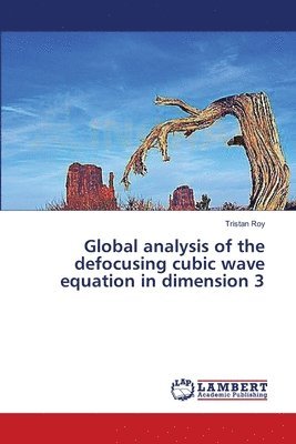 Global analysis of the defocusing cubic wave equation in dimension 3 1