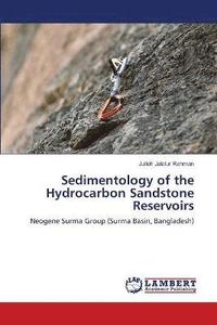 bokomslag Sedimentology of the Hydrocarbon Sandstone Reservoirs