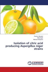 bokomslag Isolation of citric acid producing Aspergillus niger strains
