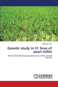 bokomslag Genetic study in S1 lines of pearl millet