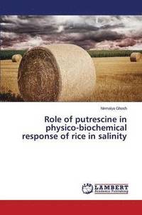 bokomslag Role of putrescine in physico-biochemical response of rice in salinity