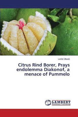 Citrus Rind Borer, Prays endolemma Diakonof, a menace of Pummelo 1
