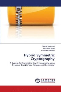 bokomslag Hybrid Symmetric Cryptography