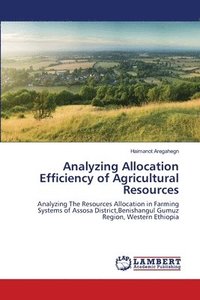 bokomslag Analyzing Allocation Efficiency of Agricultural Resources