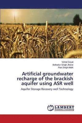 Artificial groundwater recharge of the brackish aquifer using ASR well 1