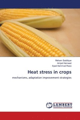 Heat stress in crops 1
