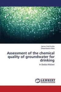 bokomslag Assessment of the chemical quality of groundwater for drinking