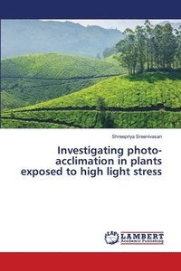 bokomslag Investigating photo-acclimation in plants exposed to high light stress