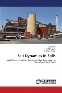 bokomslag Salt Dynamics In Soils
