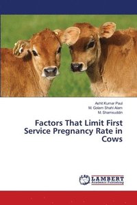 bokomslag Factors That Limit First Service Pregnancy Rate in Cows