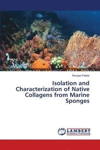 bokomslag Isolation and Characterization of Native Collagens from Marine Sponges
