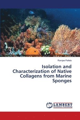 bokomslag Isolation and Characterization of Native Collagens from Marine Sponges