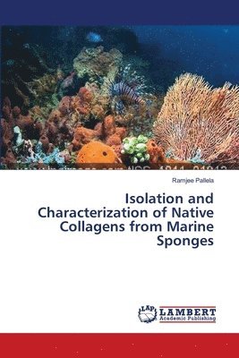 Isolation and Characterization of Native Collagens from Marine Sponges 1