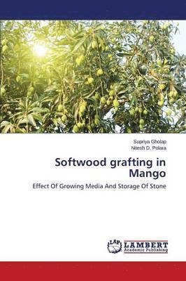 Softwood Grafting in Mango 1