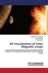 bokomslag 3D Visualization of Solar Magnetic Loops