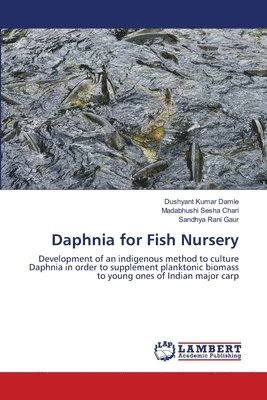 Daphnia for Fish Nursery 1