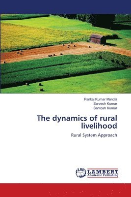 bokomslag The dynamics of rural livelihood
