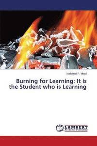 bokomslag Burning for Learning