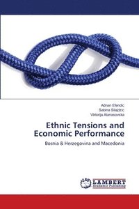 bokomslag Ethnic Tensions and Economic Performance