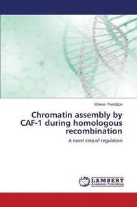 bokomslag Chromatin assembly by CAF-1 during homologous recombination