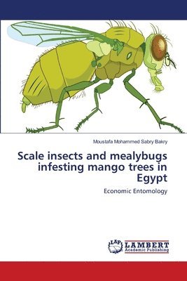 Scale insects and mealybugs infesting mango trees in Egypt 1