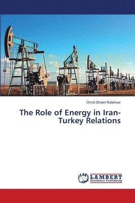 bokomslag The Role of Energy in Iran-Turkey Relations