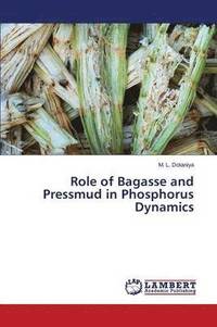 bokomslag Role of Bagasse and Pressmud in Phosphorus Dynamics