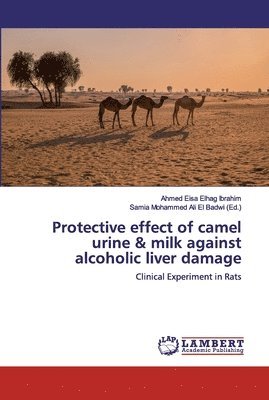 Ahmed Eisa Elhag Ibrahim, Samia Mohammed Ali El Badwi - Protective effect of camel urine & milk against alcoholic liver damage, Häftad