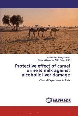 Protective effect of camel urine & milk against alcoholic liver damage 1