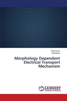 Morphology Dependent Electrical Transport Mechanism 1