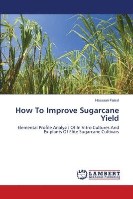 bokomslag How To Improve Sugarcane Yield