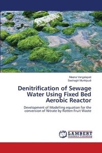 bokomslag Denitrification of Sewage Water Using Fixed Bed Aerobic Reactor