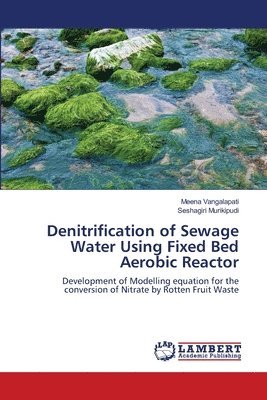 Denitrification of Sewage Water Using Fixed Bed Aerobic Reactor 1