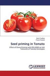 bokomslag Seed priming in Tomato