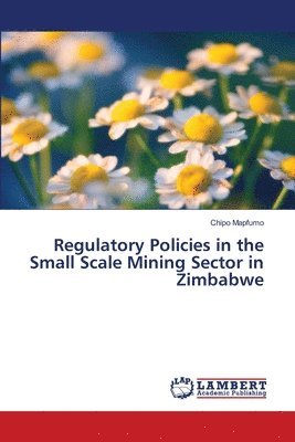 bokomslag Regulatory Policies in the Small Scale Mining Sector in Zimbabwe