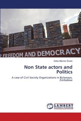 Non State actors and Politics 1