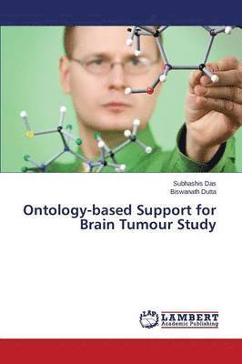 Ontology-based Support for Brain Tumour Study 1