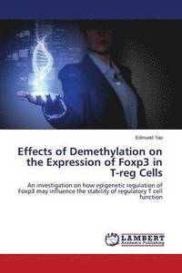 bokomslag Effects of Demethylation on the Expression of Foxp3 in T-Reg Cells