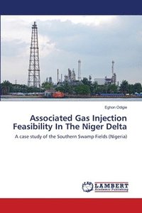 bokomslag Associated Gas Injection Feasibility In The Niger Delta