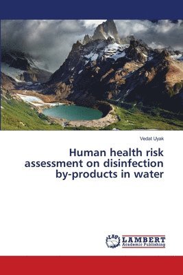 bokomslag Human health risk assessment on disinfection by-products in water